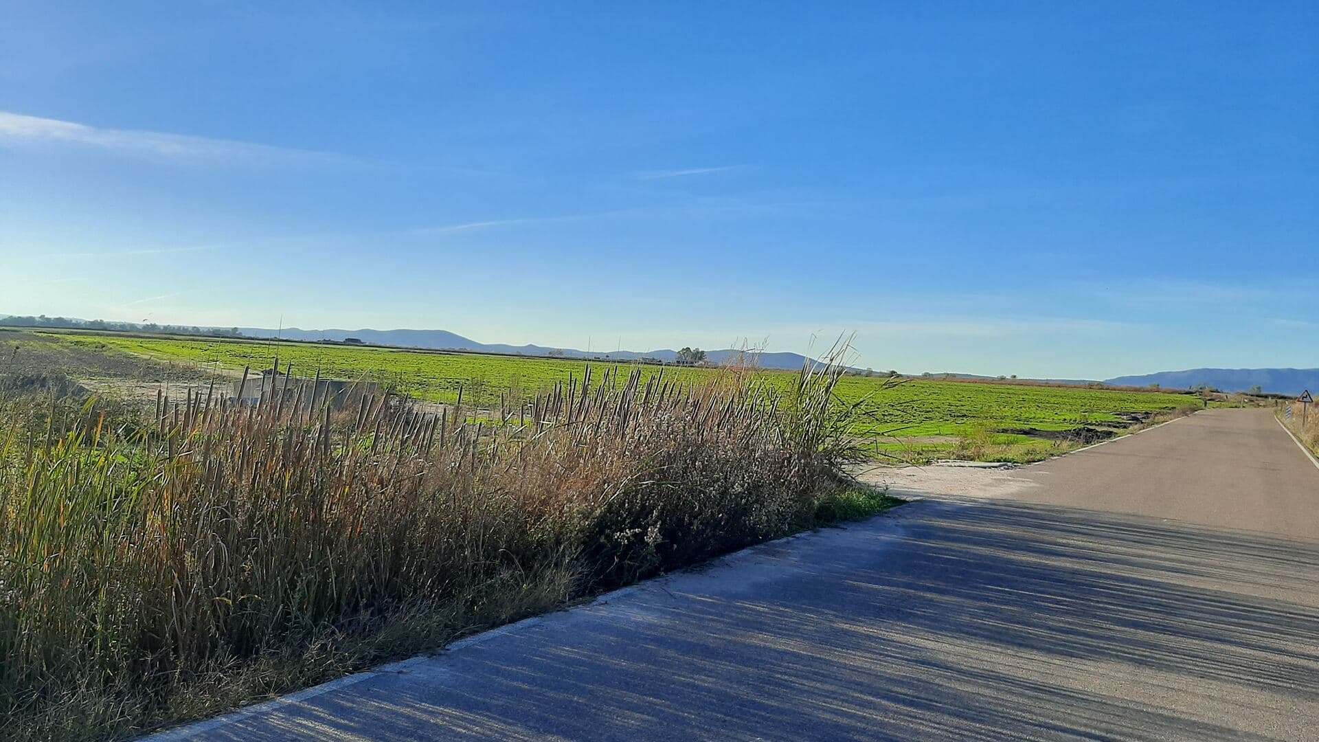Valdehornillos